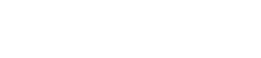 pearlplus_logo_white