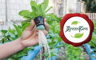 Boost Your Eco-Credentials with Hydropath’s GreenPro Award