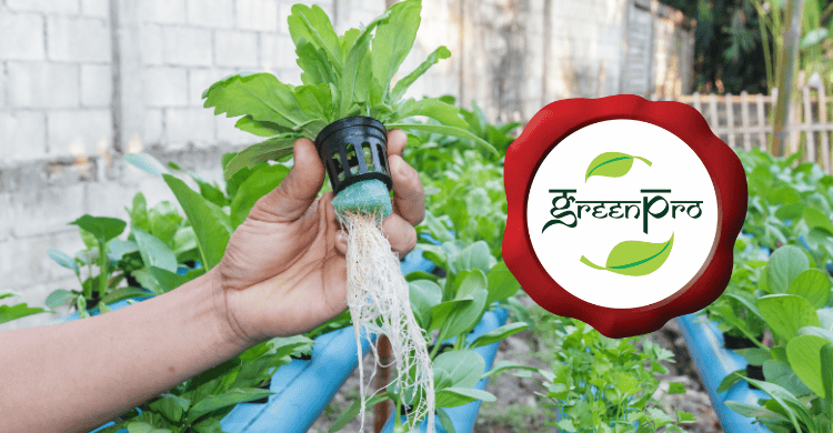 Boost Your Eco-Credentials with Hydropath’s GreenPro Award