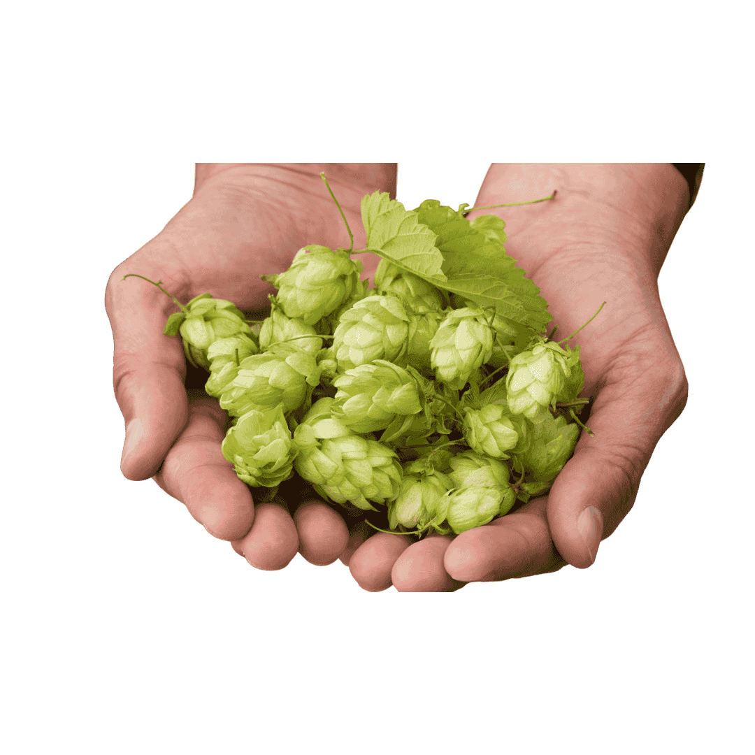 crop yield