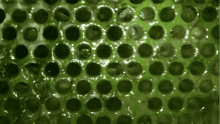 Misting Systems 