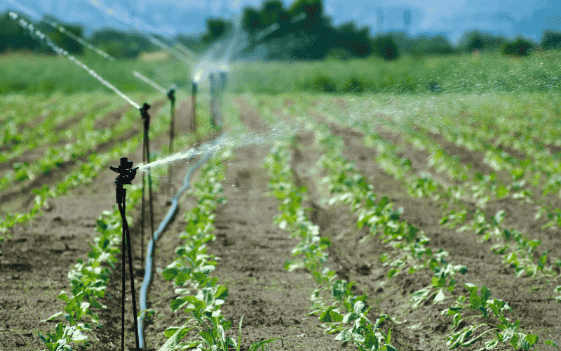 Maximising Yield with Reliable Agricultural Sprinkler Systems The Science Behind HydroFLOW®: Award-Winning Water Treatment Technology