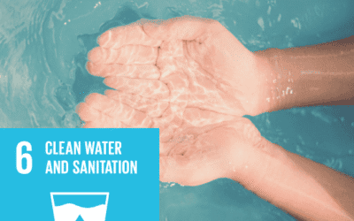 Best Water Treatment System for Hard Water at Home