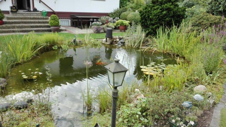 Private koi pond after HydroFLOW treatment
