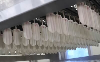 South Africa Dairy Condenser: No New Scale, No Chemicals