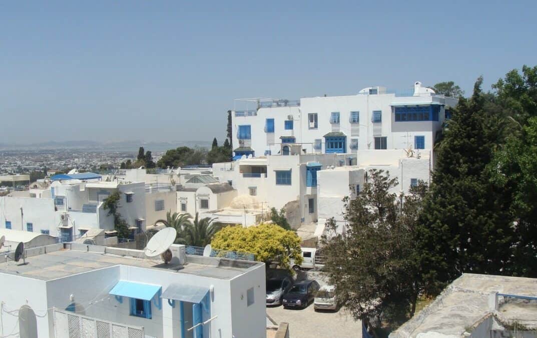 Tunisia Home: Boiler Limescale Cut, Showerheads Unblocked