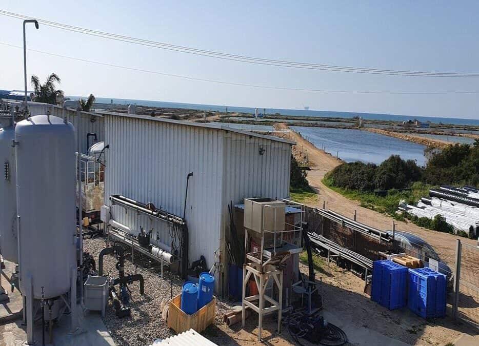 Middle East RO Plant: 81% Recovery, 250 Day Cartridges