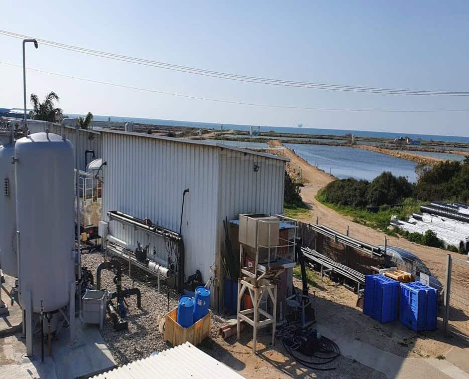 HydroFLOW i100 on the RO feed of a Middle East desalination plant — biofouling controlled, 81% peak recovery, 250-day cartridge life