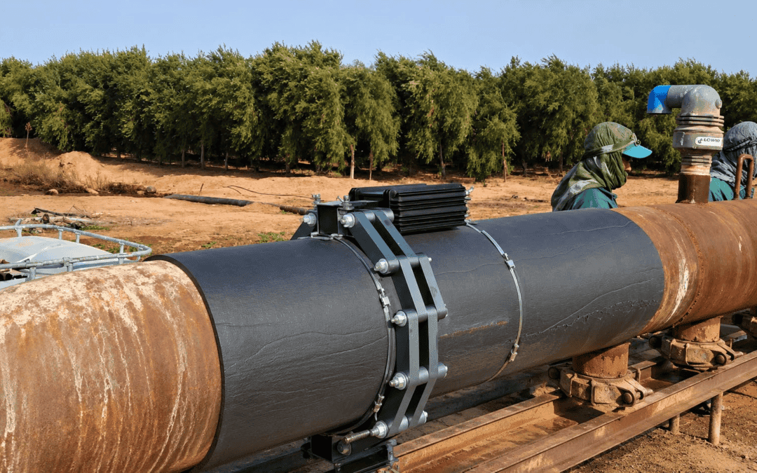 Saudi Olive Grove: Flushing Cut from 30 Minutes to 2