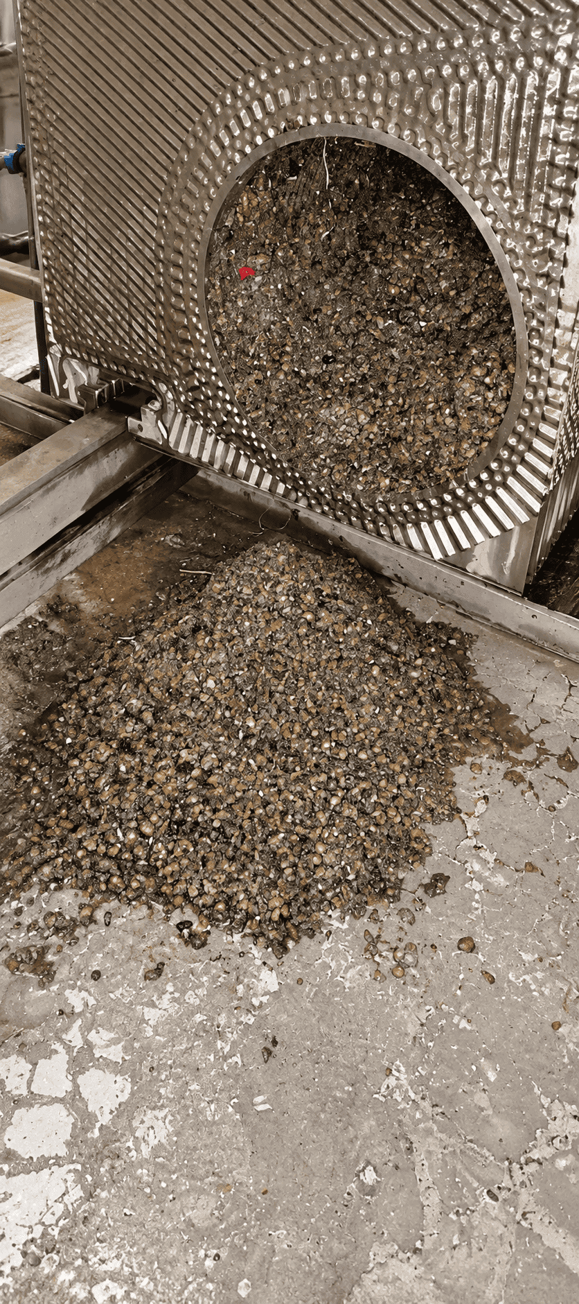 Plate heat exchanger opened for inspection, its inlet port packed with mussel shells and debris that spill onto the floor, seawater cooling plant, Hong Kong