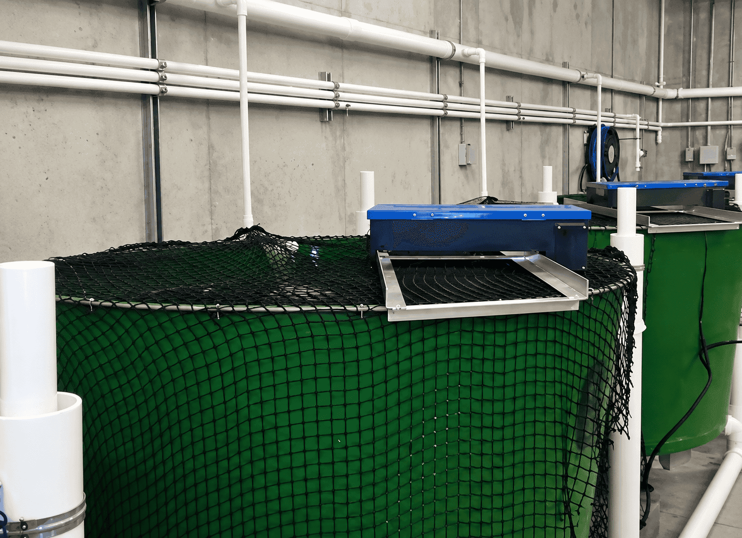 Tilapia tanks in a recirculating aquaculture system used for the AquaVet HydroFLOW trial
